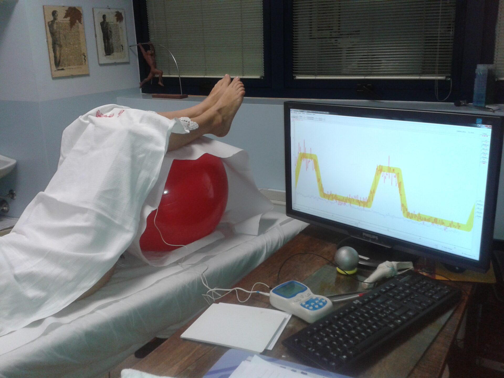 pavimento pelvico